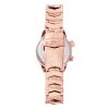 The Abingdon Co Women’s “Elise” Japanese Quartz Stainless Steel Analog Casual Watch (Rose)