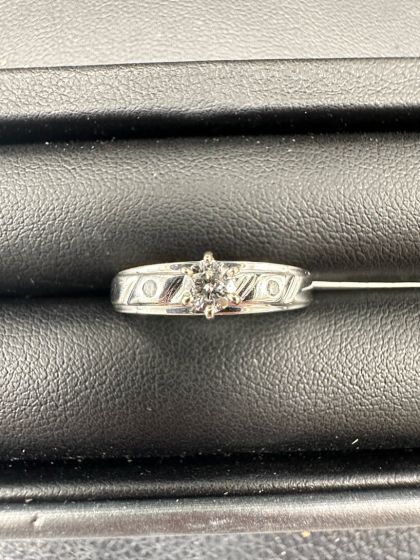 Ring - Pavé, 14k White Gold -205022