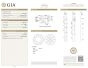 4.01 Ct Studs-Basket Setting, Diamond 14k YG GIA - 205145