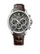 Hugo Boss Gray Anthracite Dial SS Chronograph Quartz Mens Watch 1513035